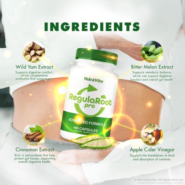 Cápsulas de NutraVibe RegulaRoot Pro para digestión y confort intestinal