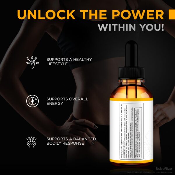 Version 1.0.0 Gotas Ginger Slim Pro natural para salud y bienestar