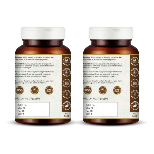 Tabletas naturales para salud renal y hepática VEDIKROOTS