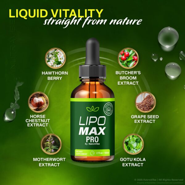 Botellas Lipo Max Pro apoyo corporal y energía