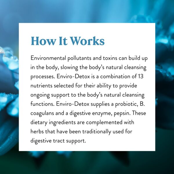 Version 1.0.0 Cápsulas detox para limpieza y desintoxicación corporal