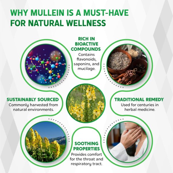 81A4U7cQAfL.jpg Gotas líquidas para detox pulmonar y soporte bronquial Nessarit