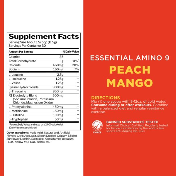 Caja y frasco de Rule1 Essential Amino 9