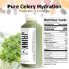 Botellas refrigeradas jugo orgánico apio JRINK 16oz