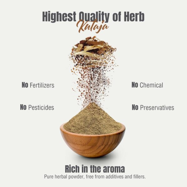 HerbsForever suplemento polvo kutaja Holarrhena antidysenterica