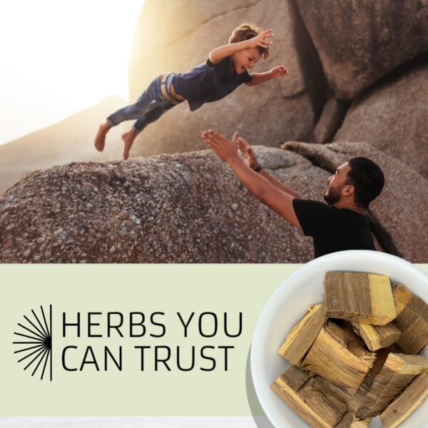 evergreen herbs palo azul propiedades desintoxicantes naturales