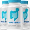 Cápsulas Pure Digest Natural para salud digestiva y bienestar