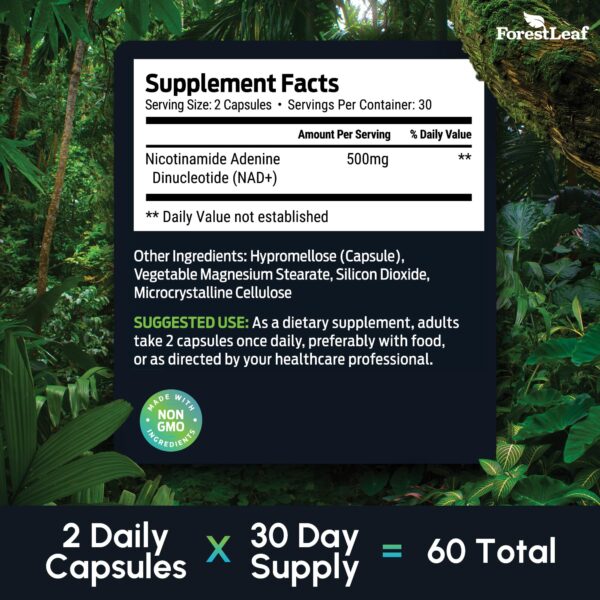 ForestLeaf Berberina NAD+ ficha