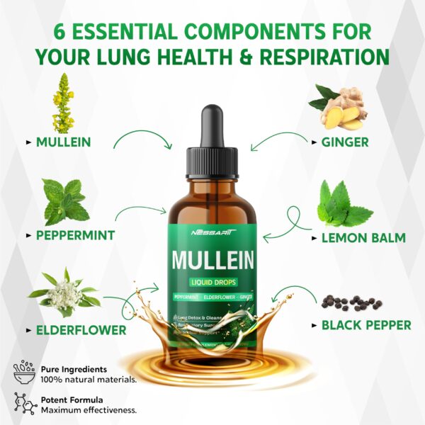 81TDu9o09L.jpg Envase frontal gotas líquidas Mullein para apoyo respiratorio