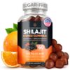 Frasco Purify Life Himalayan Shilajit Gummies