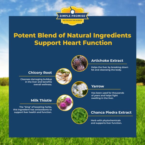 Simple Promise combo cápsulas para salud intestinal y hepática