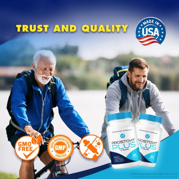 Prostovit Plus para soporte y confort prostático diario