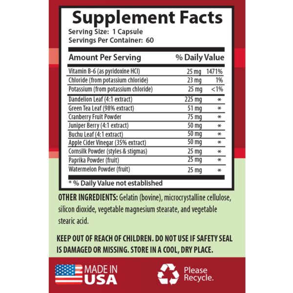 suplemento inmunológico natural con diente de león 60 cápsulas