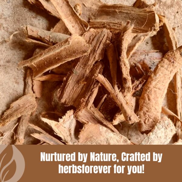 Polvo herbal puro kutaja HerbsForever sin OMG ni aditivos