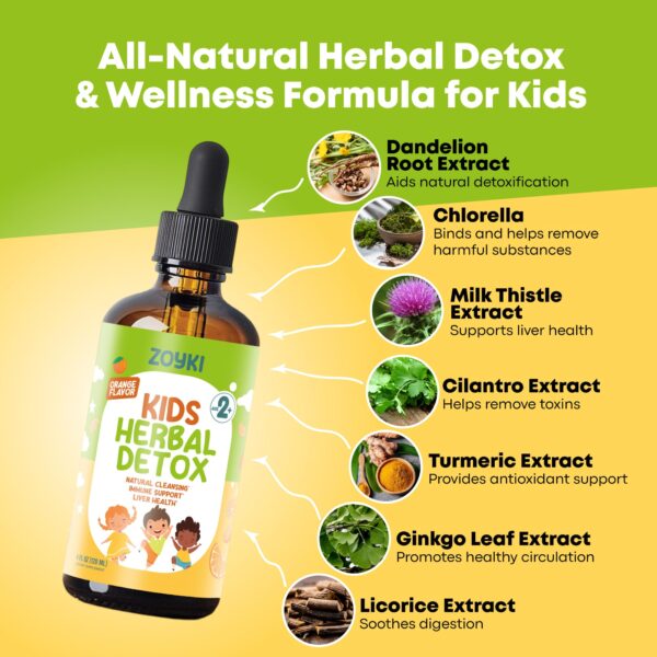 Ingredientes naturales del desintoxicante Zoyki