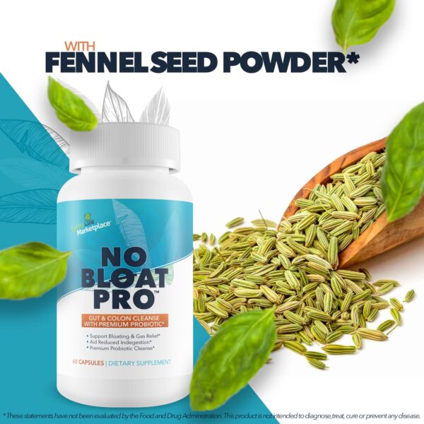 Version 1.0.0 Producto No Bloat Pro para mejorar salud del colon y digestión