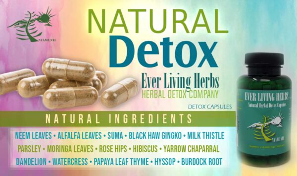 Paquete Ever Living Herbs Detox presentación completa