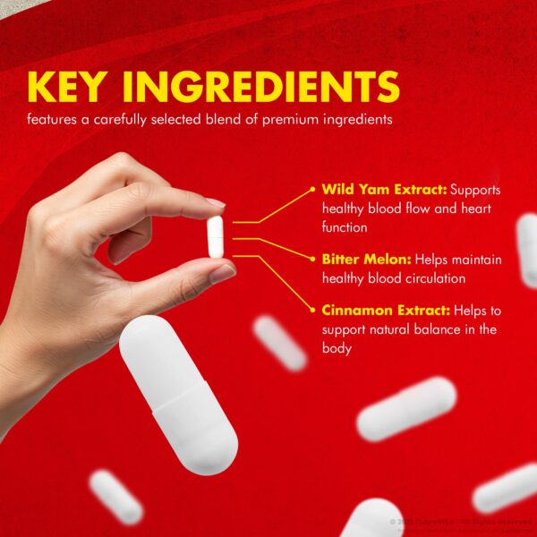 Instrucciones de uso GlukoBest