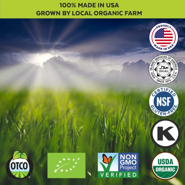 Polvo dulse alga Atlántico para smoothie detox