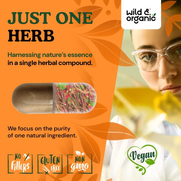 Suplemento 30 días raíz de zarzaparrilla para detox