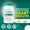 Suplemento CelluFend para mantener niveles estables de energía