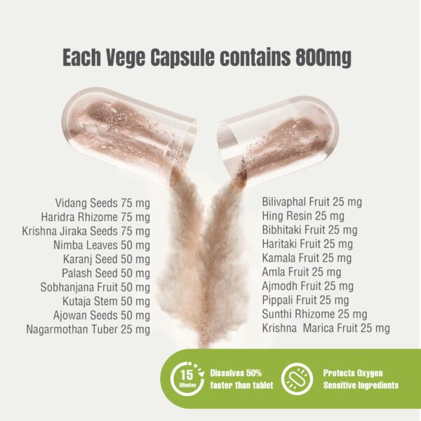 cápsulas detox y reparación herbsforever para cleaner salud digestiva