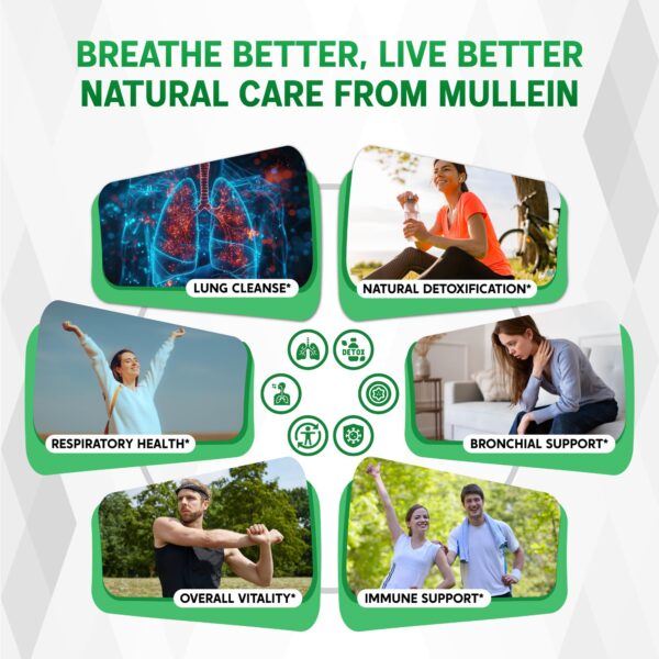 81z4dlYLXhL.jpg Extracto natural de Mullein con ingredientes puros Nessarit