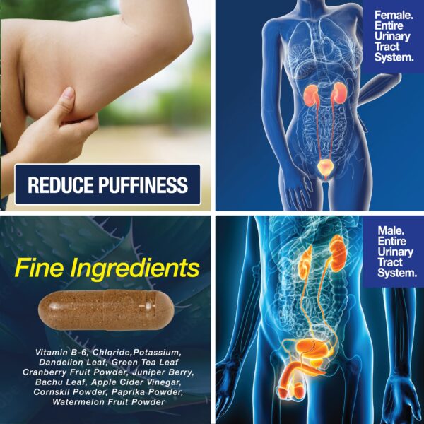 Paquete frontal Water Away tableta para agua y edema