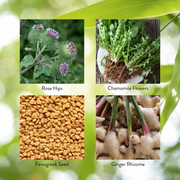 Version 1.0.0 Suplemento detox Nature's Sunshine eliminar toxinas cuerpo