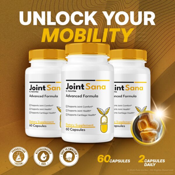 Version 1.0.0 Empaque de Joint Sana