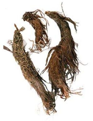 Herbneo Jatamasi raíz almizcle 200 gramos envase