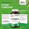 Suplemento no-GMO de cilantro Wild & Organic