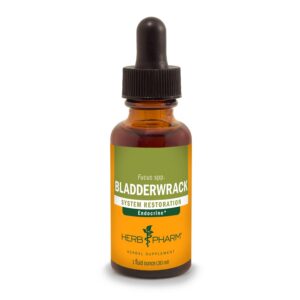 Extracto líquido Bladderwrack Herb Pharm botella 1 onza