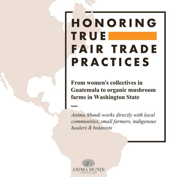 Ingredientes Polvo Super Greens Anima Mundi