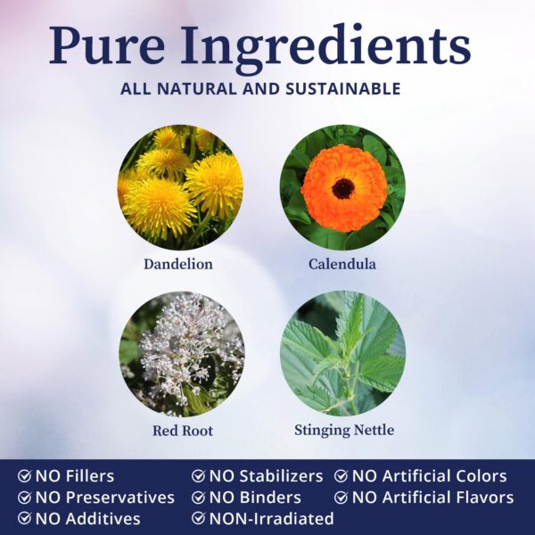 Envase BioPure con formulación vegetal para circulación y limpieza