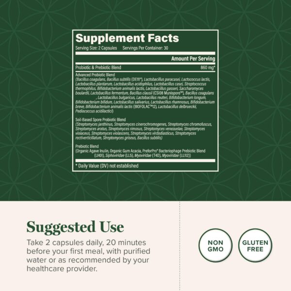 logo Global Healing Center