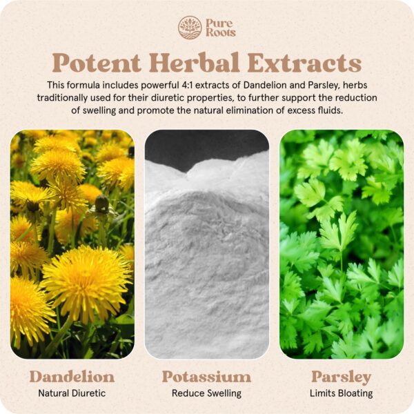 Información nutricional Biotrim píldoras para hinchazón natural