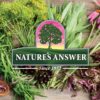 Producto Nature's Answer Nogal Negro cápsulas en paquete