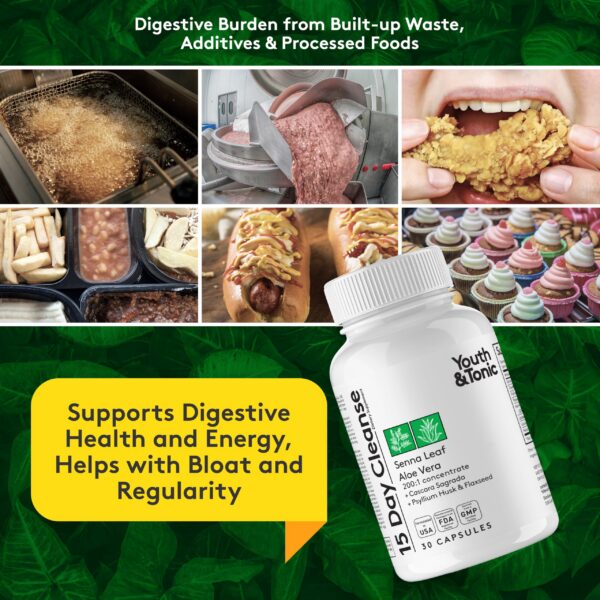 Enzimas digestivas naturales para salud intestinal y bazo